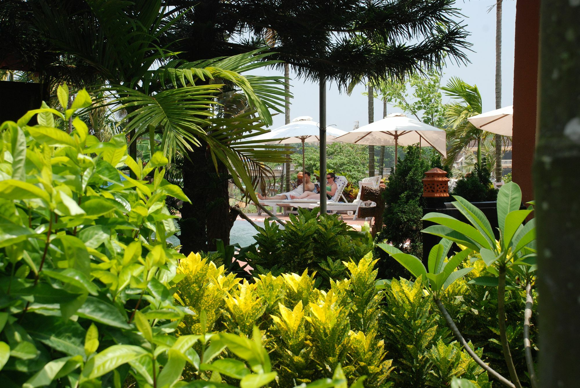 Pho Hoi Riverside Resort Hội An Kültér fotó